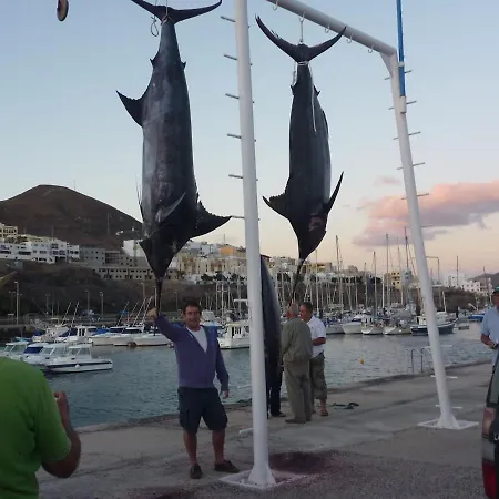 شقة Amazing Sea View With Sun Drenched Terrace!